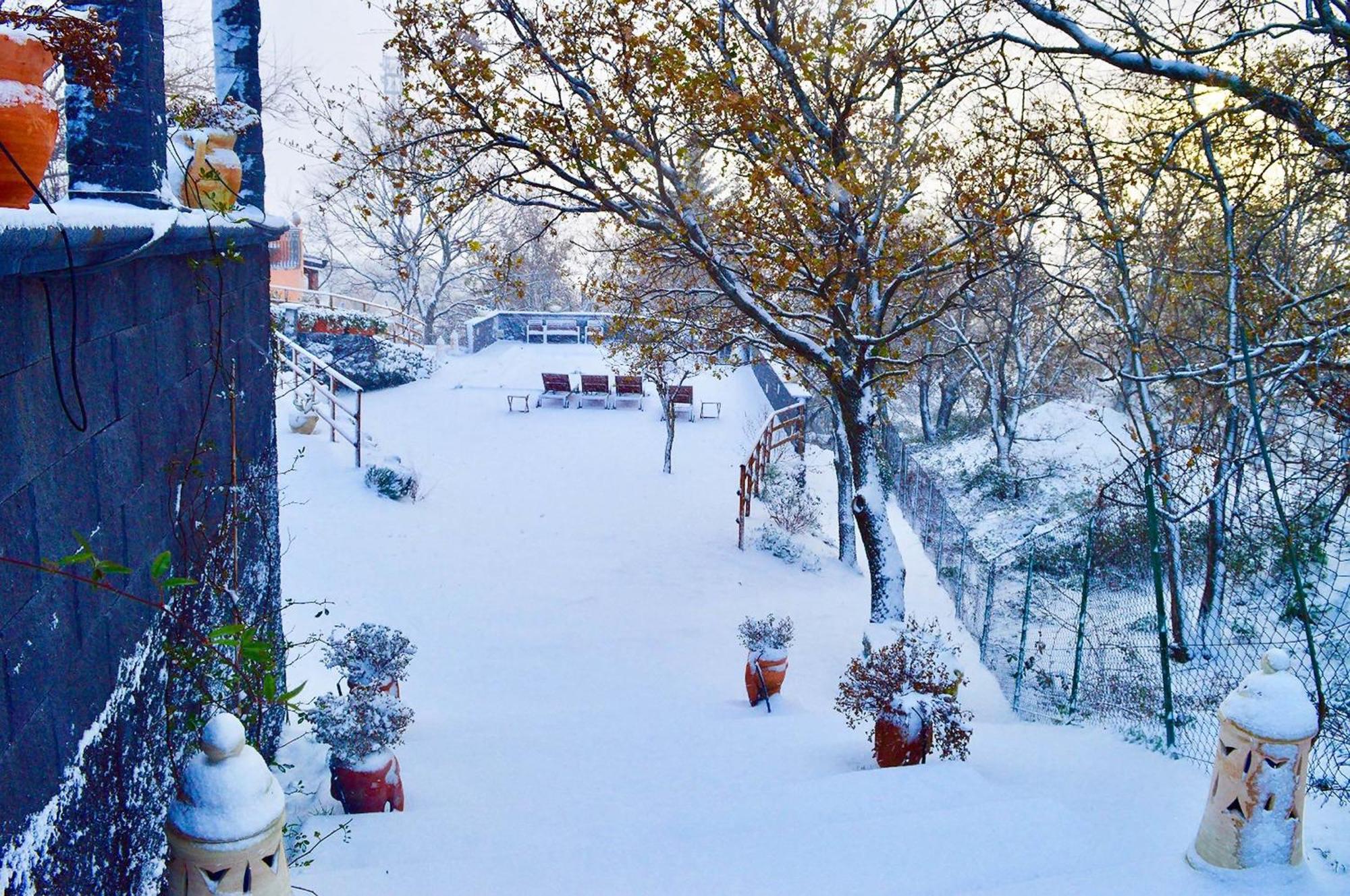 Villa Del Gelso Chalet Nel Parco Delletna ماسكالي المظهر الخارجي الصورة